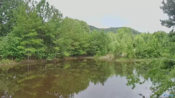 4040 County Road 131, Piedmont, AL 36272