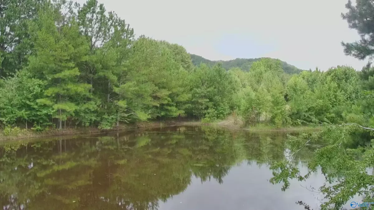 Piedmont, AL 36272,4040 County Road 131