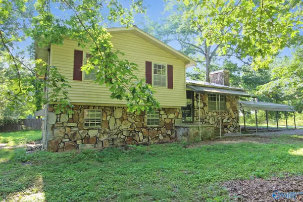 247 Sherwood Blvd, Fyffe, AL 35971