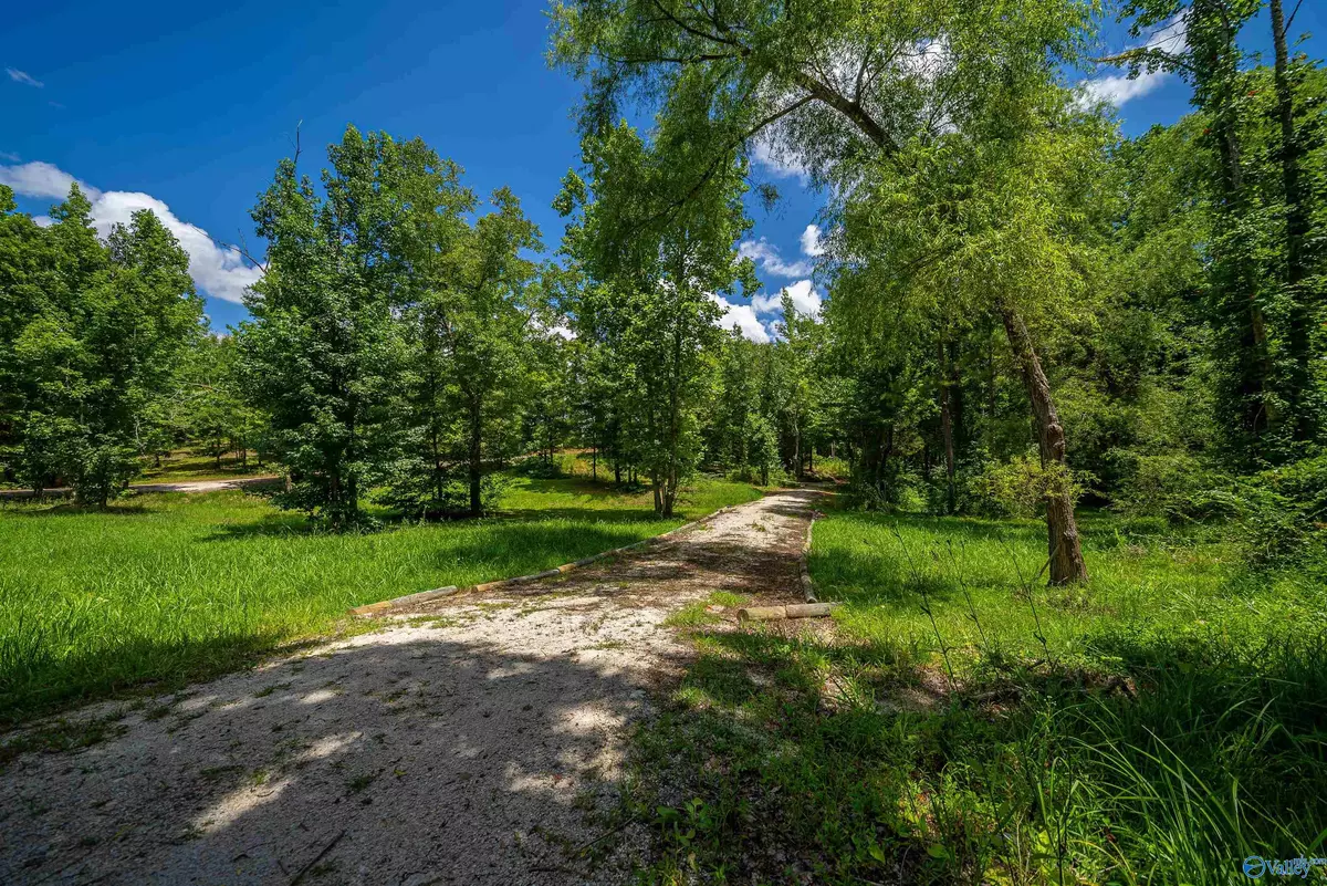 Piedmont, AL 36272,2.36 Acres County Road 336