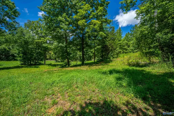 Piedmont, AL 36272,2.36 Acres County Road 336