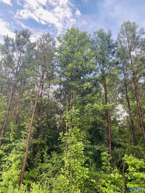 Fyffe, AL 35971,3109 County Road 41