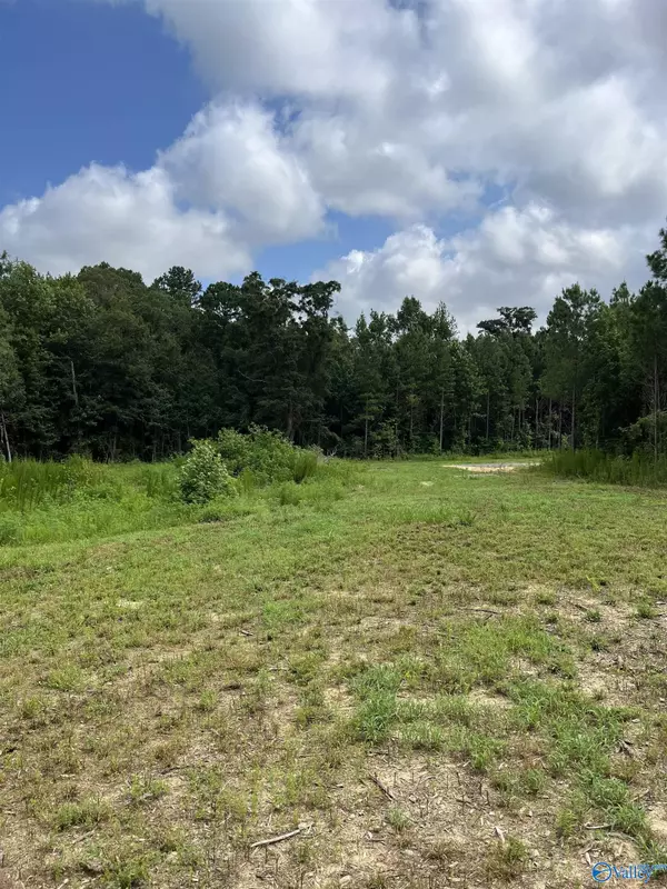 Fyffe, AL 35971,3109 County Road 41