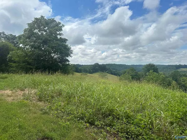 5A Simmons Road, Belvidere, TN 37306