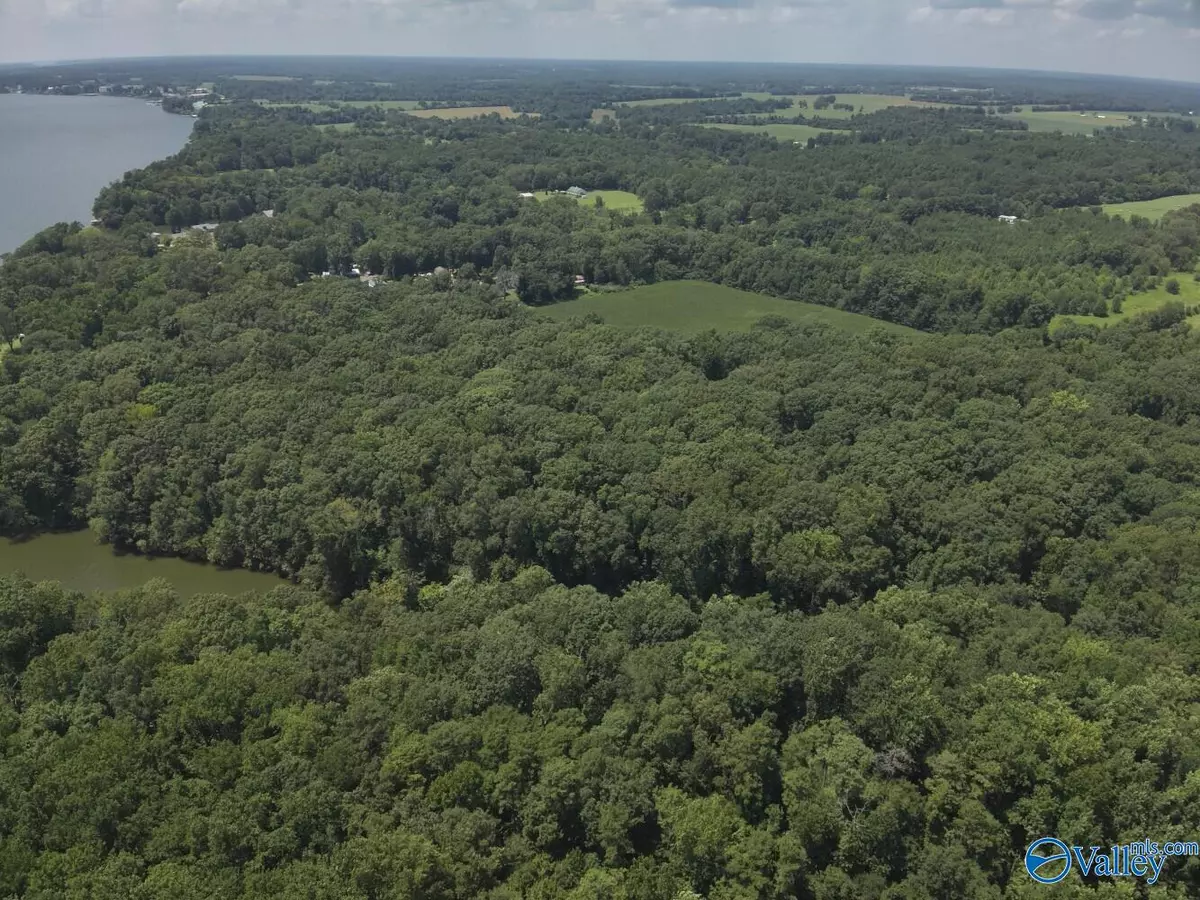 Athens, AL 35611,49.59 +/- Acres Snake Road