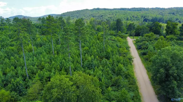 Altoona, AL 35952,471 Tanyard Road