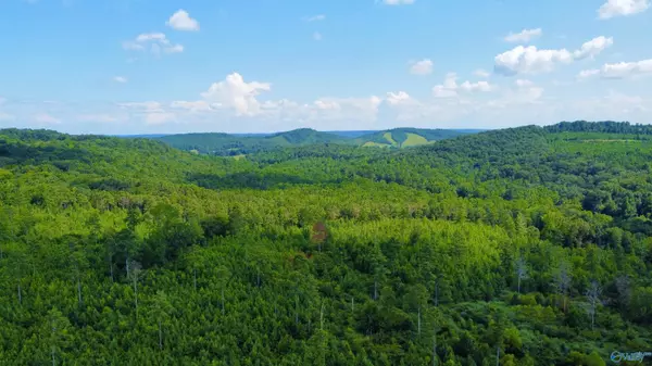 Altoona, AL 35952,471 Tanyard Road