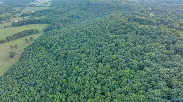 Henagar, AL 35978,1864 County Road 664