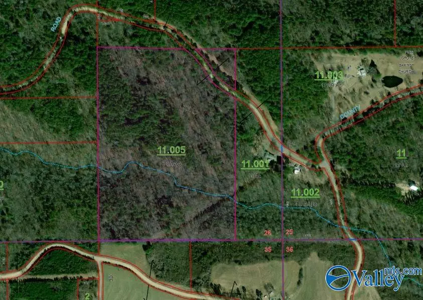 Collinsville, AL 35961,30 ac County Road 469
