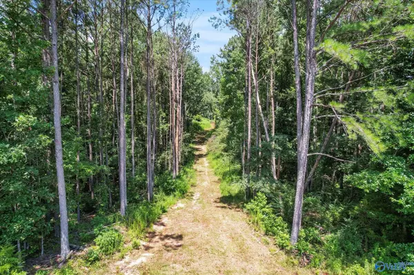 Hartselle, AL 35640,659 Church Road