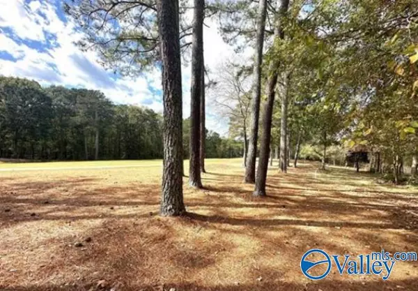 Union Grove, AL 35175,Lot 44 Savannah Circle