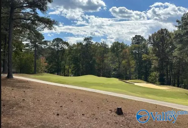 Union Grove, AL 35175,Lot 44 Savannah Circle