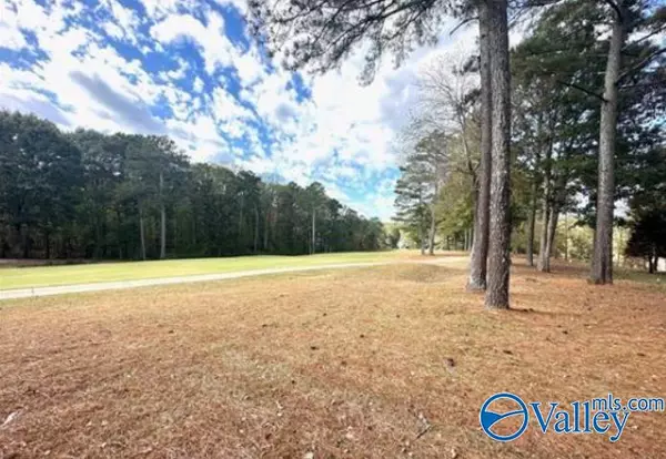 Union Grove, AL 35175,Lot 44 Savannah Circle