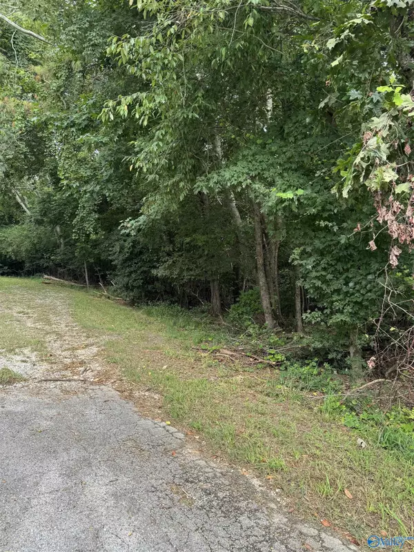 Glencoe, AL 35905,3 Parkwood Lane