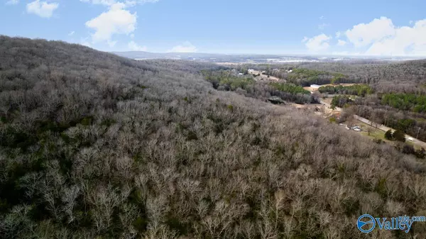 Huntsville, AL 35810,5.32 Acres Pulaski Pike