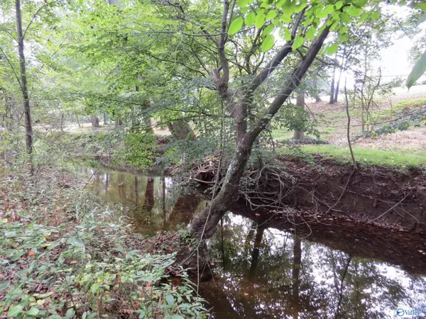 Henagar, AL 35978,532 Longview Road