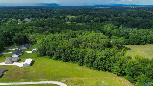 Hokes Bluff, AL 35903,#0 Desoto Street