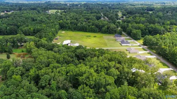 Hokes Bluff, AL 35903,#0 Desoto Street