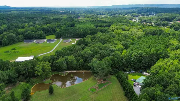 Hokes Bluff, AL 35903,#0 Desoto Street