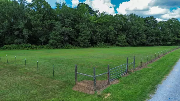 Hokes Bluff, AL 35903,#0 Desoto Street