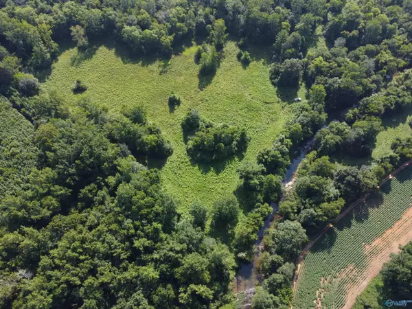 New Market, AL 35761,282 Hillsboro Drive