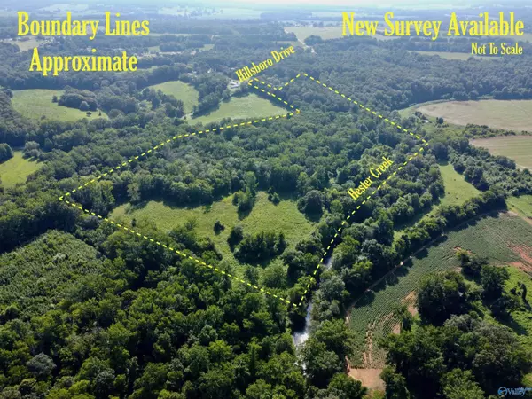 New Market, AL 35761,282 Hillsboro Drive