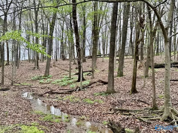 New Market, AL 35761,157 Mint Springs Road