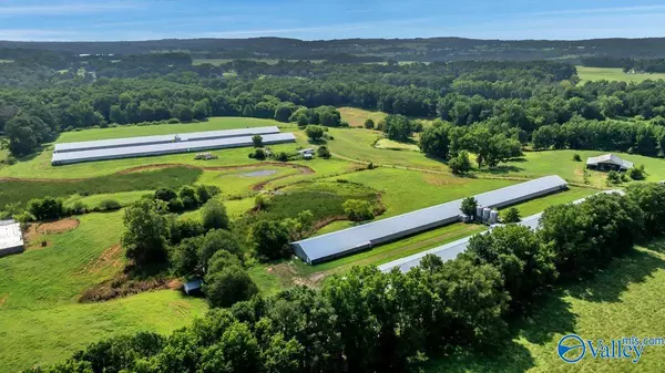 Boaz, AL 35957,823 Coal Mine Road