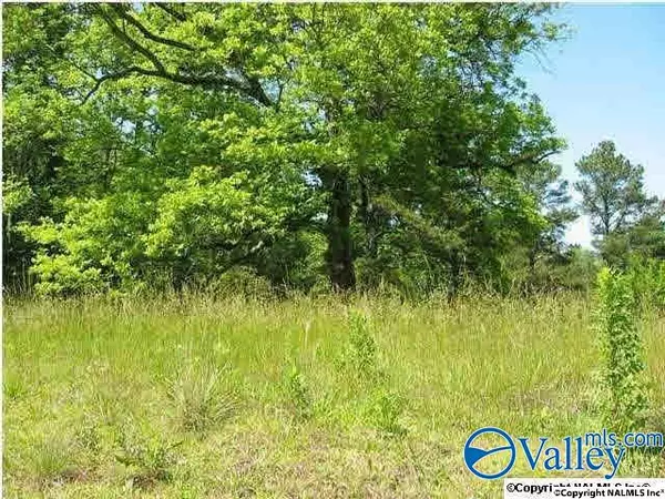 3 & 4 Mitchell Avenue, Albertville, AL 35950
