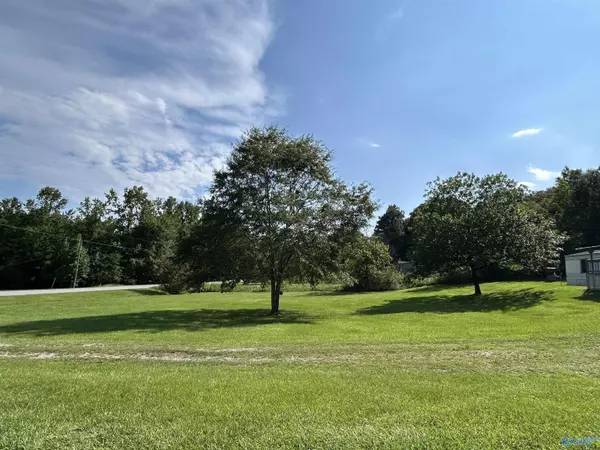 Ashville, AL 35953,1815 County Road 22