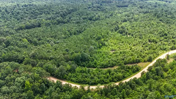 39 ACRES County Road 87,  Vina,  AL 35593