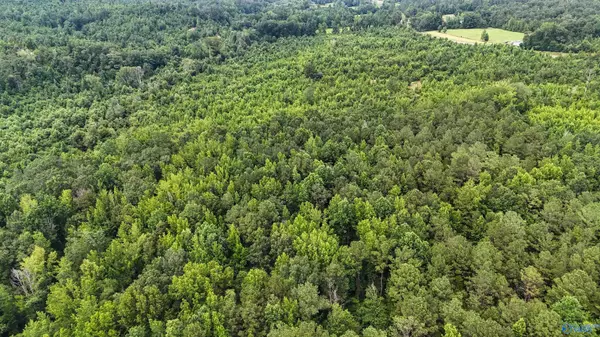 Vina, AL 35593,139 ACRES County Road 87