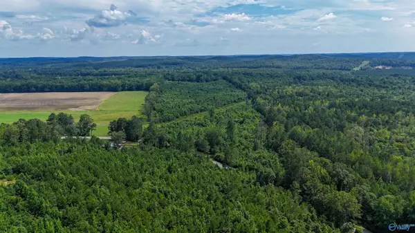 78 ACRES County Highway 56, Vina, AL 35593