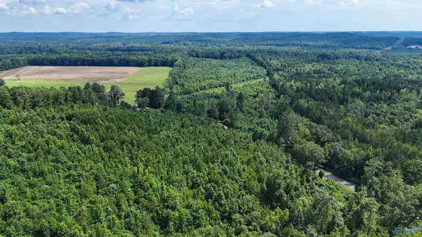 Vina, AL 35593,78 ACRES County Highway 56