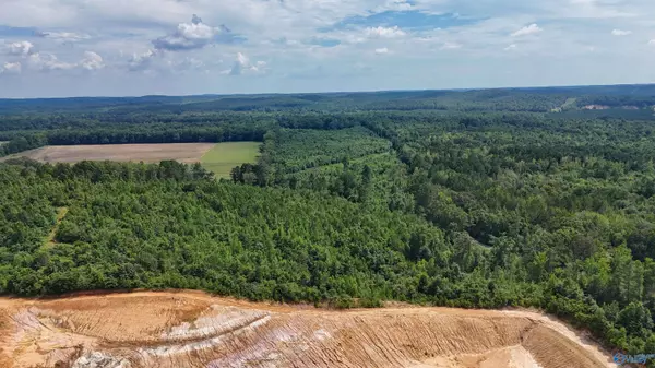 Vina, AL 35593,78 ACRES County Highway 56