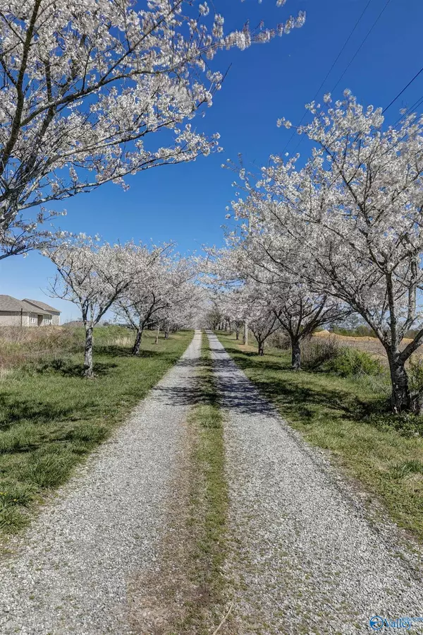 Albertville, AL 35950,2280 Solitude Road