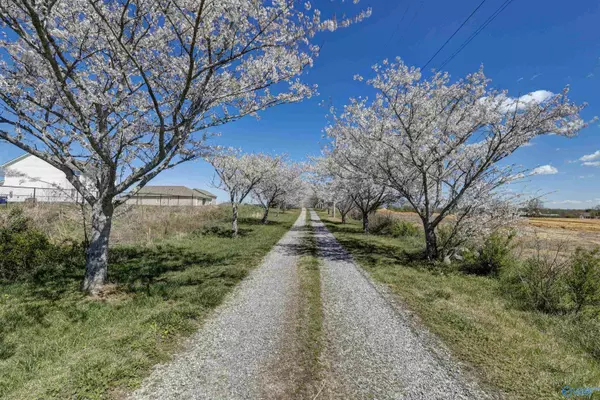 Albertville, AL 35950,2280 Solitude Road