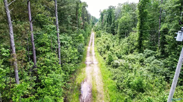 Flat Rock, AL 35966,10 acres County Road 14