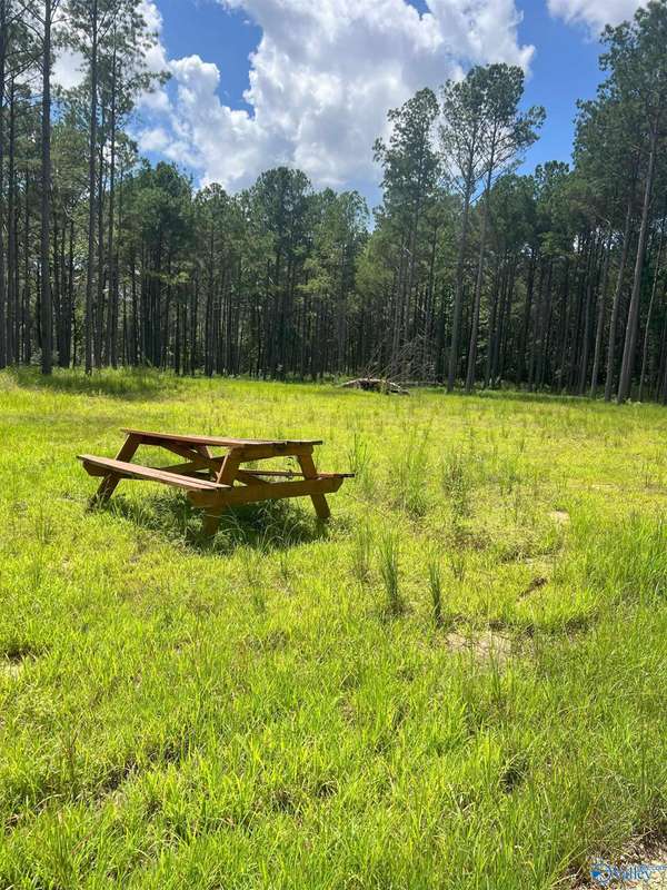 186 Brooks Lane, Somerville, AL 35670