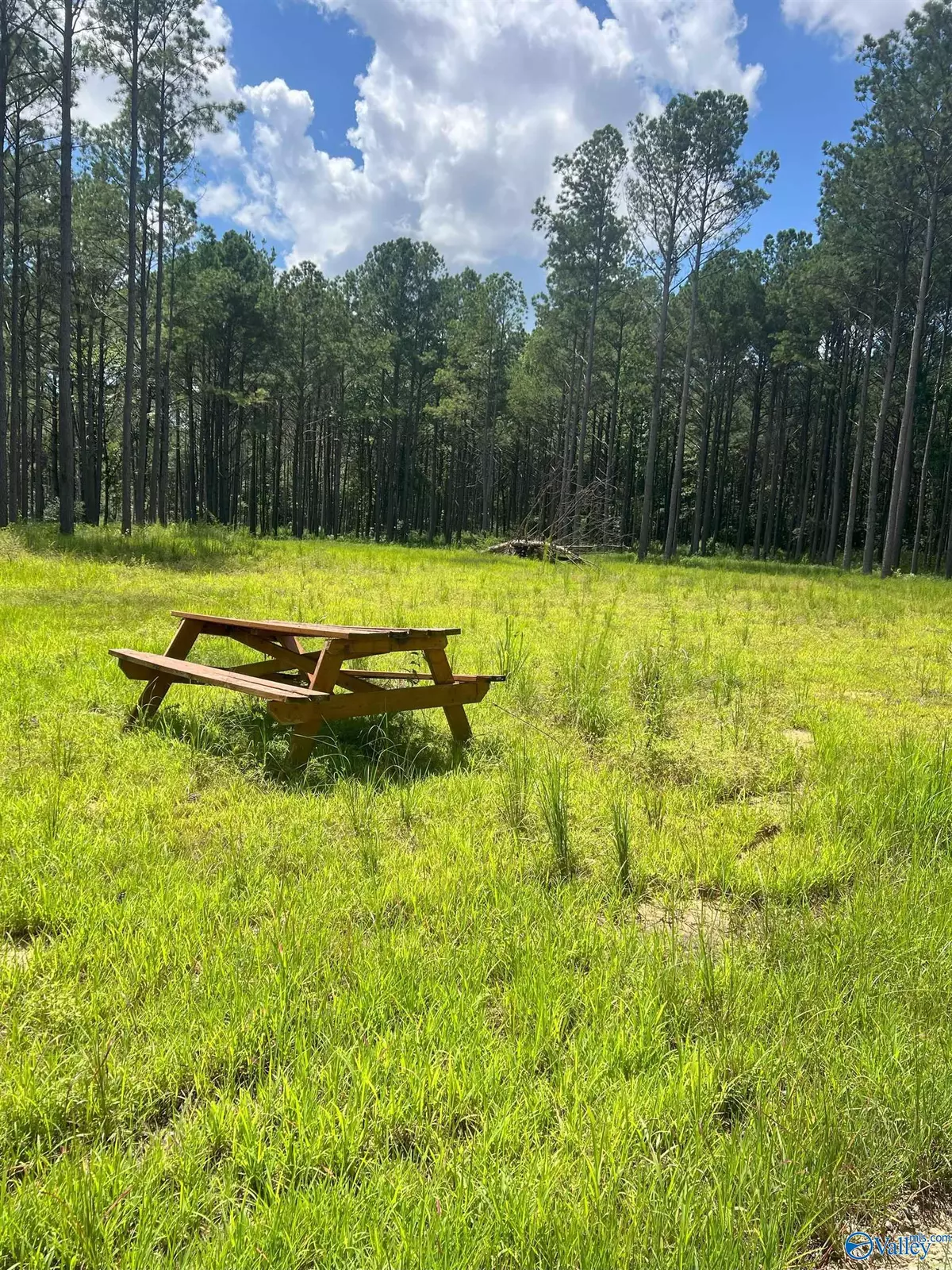 Somerville, AL 35670,186 Brooks Lane