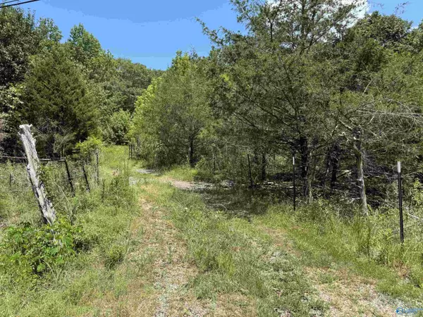 494 County Road 221, Scottsboro, AL 35768