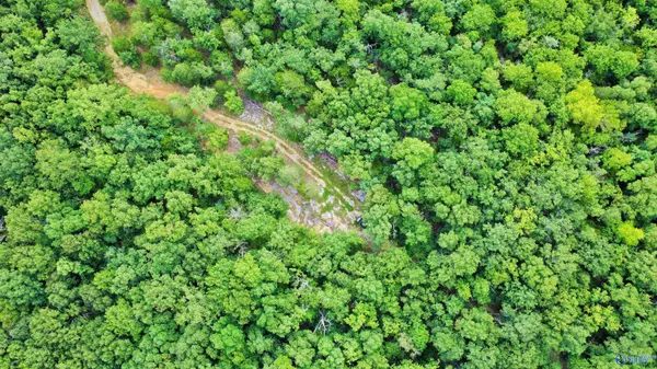 Gurley, AL 35748,80 Kroff Road