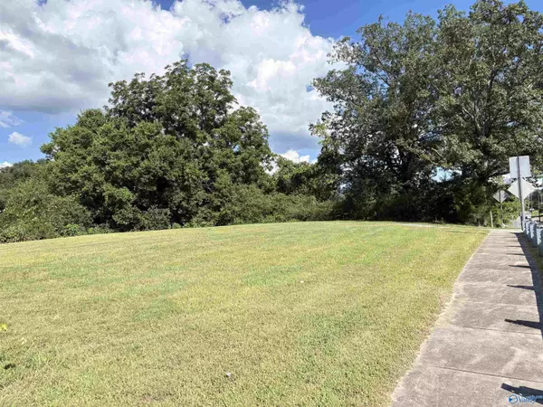 Bridgeport, AL 35740,Lots 1-4 8th Street