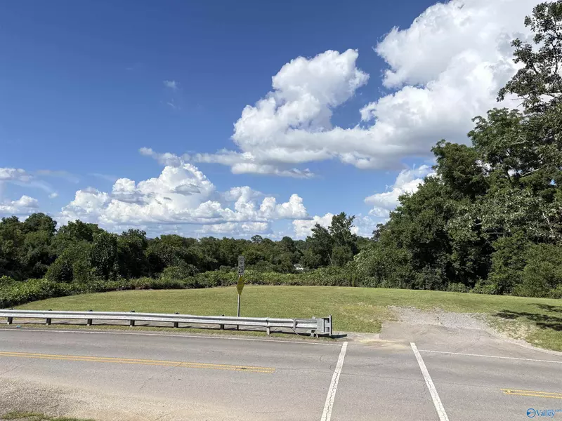 Lots 1-4 8th Street, Bridgeport, AL 35740