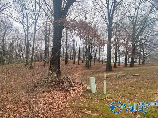 Athens, AL 35611,13230 Saint Andrew Drive