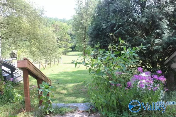 Valley Head, AL 35989,132 Winston Drive