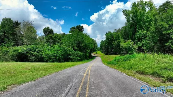 Falkville, AL 35622,1454 N Pleasant View Road