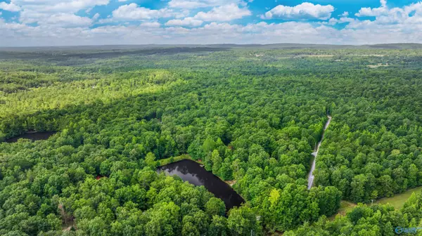 Mentone, AL 35984,27 Road 9013