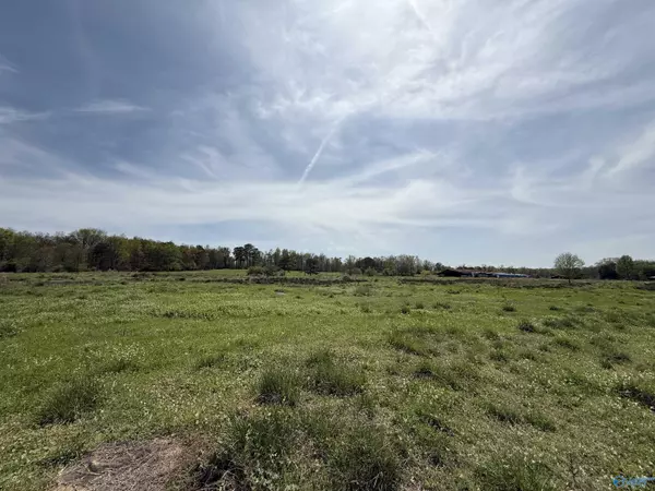 Boaz, AL 35956,20.2 Acres Bluff Road