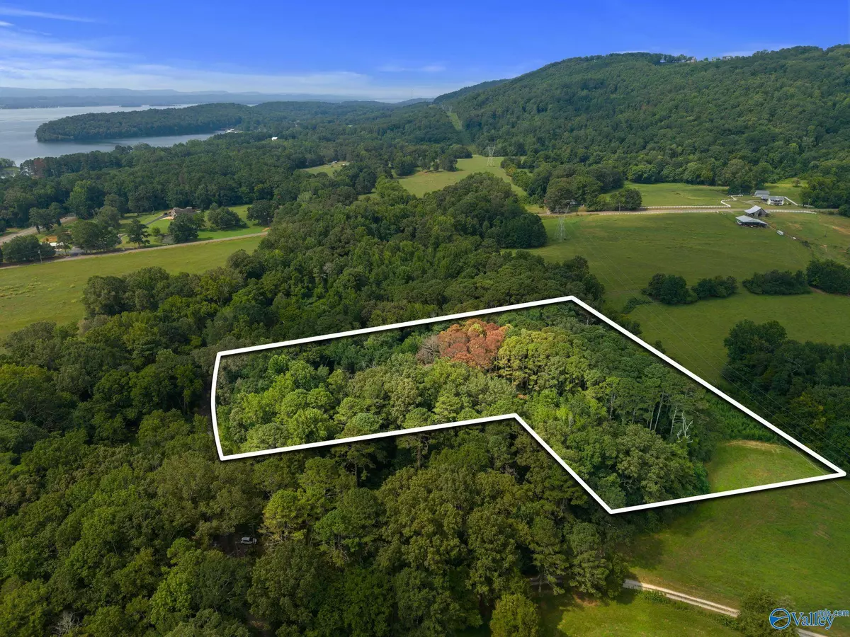 Scottsboro, AL 35768,4.06 acres County Road 377